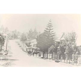 Pennant Hills Road, Thornleigh, c. 1900