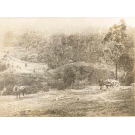 Fox Valley, Wahroonga