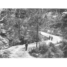 Fox Valley Road, Wahroonga