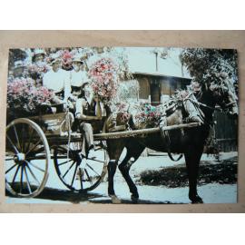 J Purnell's cart, c. 1914