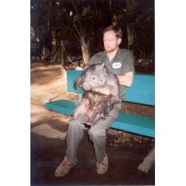 Wombat handling in Koala Park