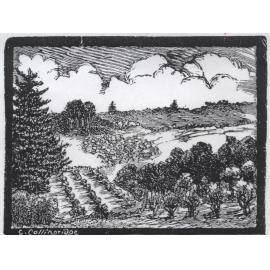 George Collingridge - woodcut, orchards Pennant Hills/Normanhurst