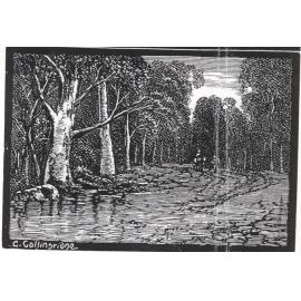 George Collingridge - woodcut, possibly Peats Ferry Road