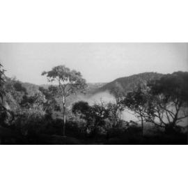 Berowra Valley from Rofe Park, 1954