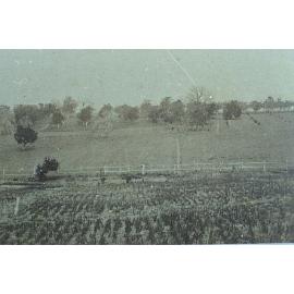 View of West Pennant Hills