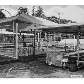 Former Hornsby Olympic Swimming Pool, Program Pool