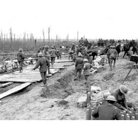  Polygon Wood, Ypres, Belgium