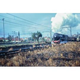 Locomotive 3801 near Asquith, 1962