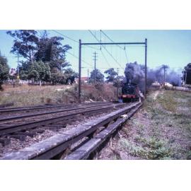 Steam locomotive 3045 at Clarke Road, 1963