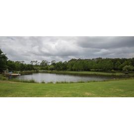 Fagan's Park lake, 2015