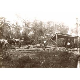 Blissett's Sawmill, Pennant Hills Road, West Pennant Hills