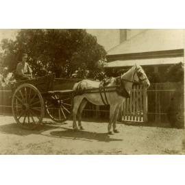 Castle Hill Road, West Pennant Hills