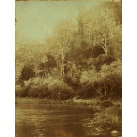 Waratah Bay, Cowan Creek