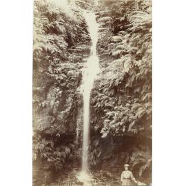 Lane Cove River, Thornleigh 