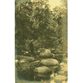 Lane Cove River near to Thornleigh