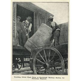 Thornleigh Goods Yard