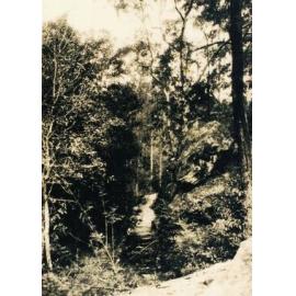 Lorna Pass, Thornleigh