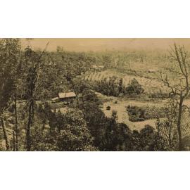 Old Mans Valley, Hornsby