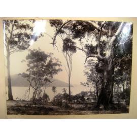 View of Dangar Island