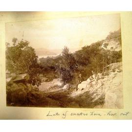 Lots of snakes here, near the Hawkesbury River