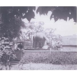 Wirth's Circus truck with elephant outside Carnralla, 368, Pacific Highway, c1946