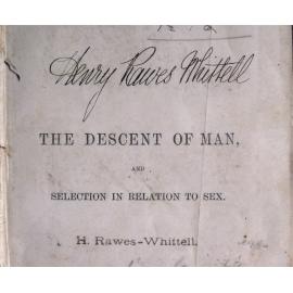 Henry Rawes Whittell