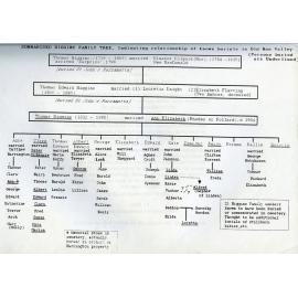 Summarised Higgins family tree