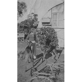 The flat roofed home in Waratah Road - Berowra