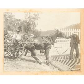 The Reluctant Punt Passenger  - Berowra Waters Ferry