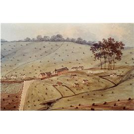 The Castle Hill Government Farm