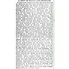 Flowers that bloom in Berowra