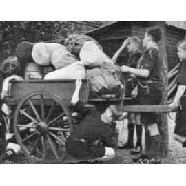 Scout camp at Berowra