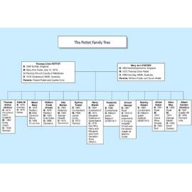 The Pettet Family Tree