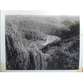 Somewhere in the Australian bush - Berowra Waters