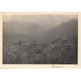 Mist throughout Berowra valley