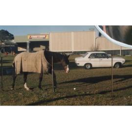 Remembering IGA at Berowra