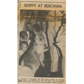 Meeting Skippy the Bush Kangaroo at Berowra