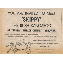 Meet Skippy the Bush Kangaroo at Berowra