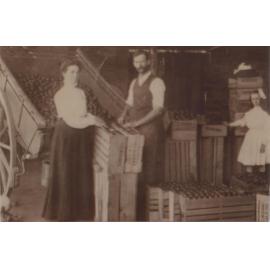 Harry and Elise Moore packing oranges in Arcadia.