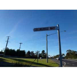 Why Is George Collingridge known as the Father of Berowra?