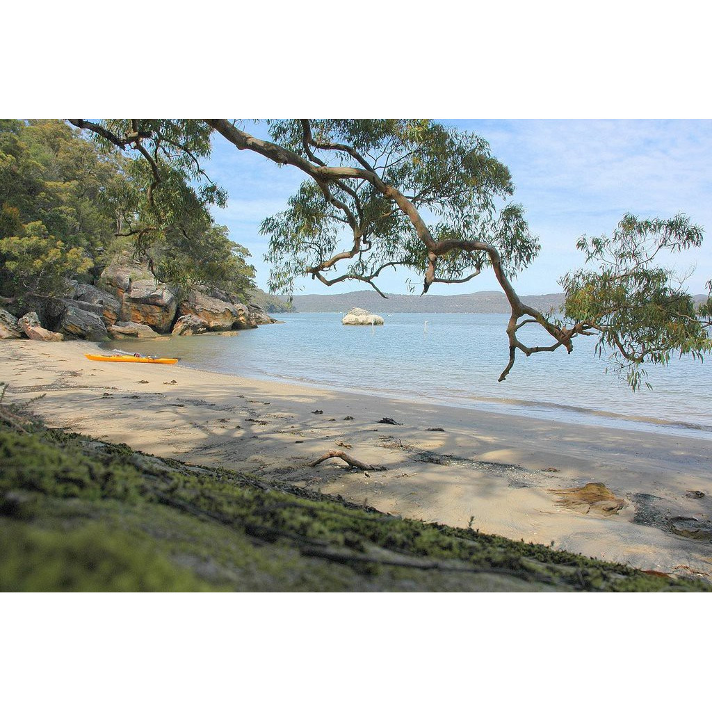 Croppy Beach