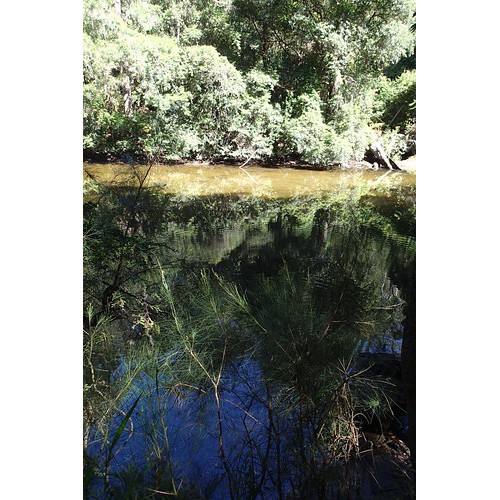 Charltons Creek
