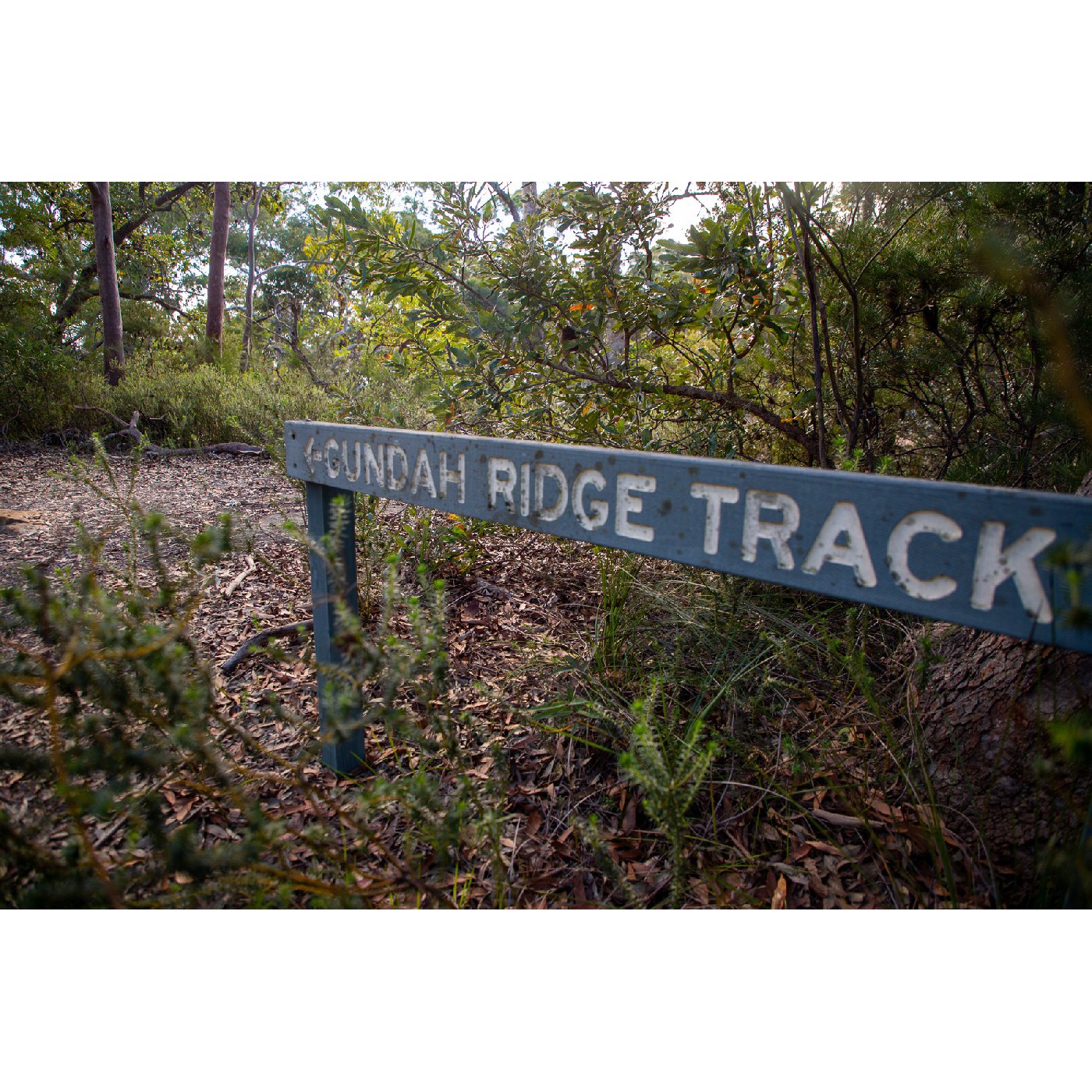 Gundah Ridge