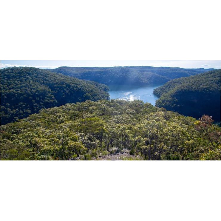 Mount Murray Anderson
