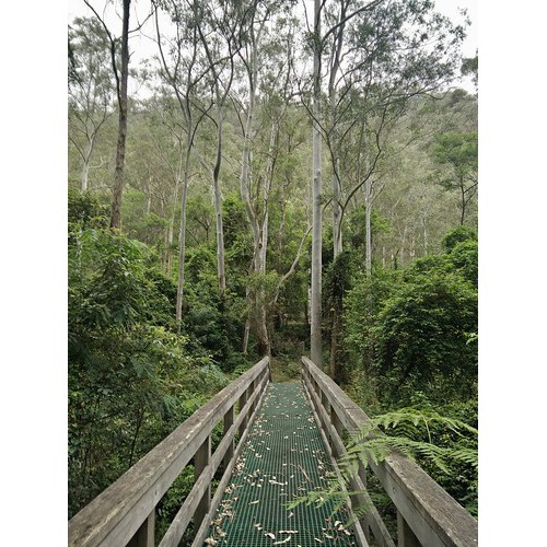 Nagles Gully