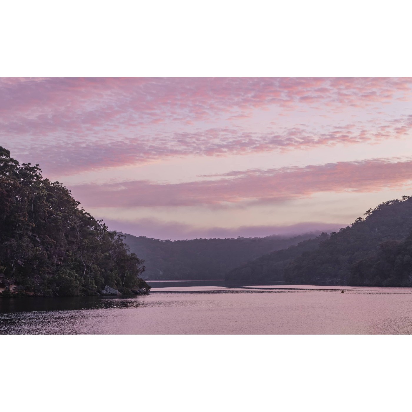 Nicholsons Creek
