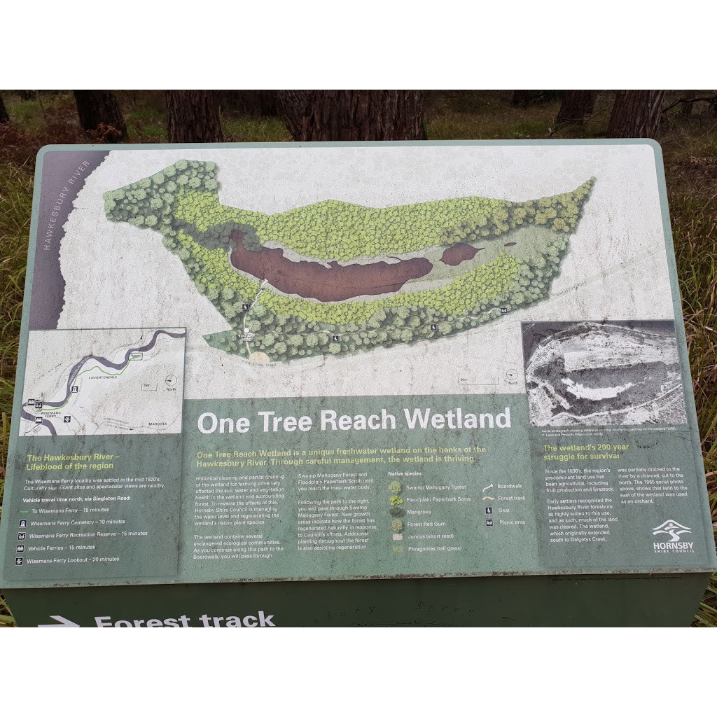 One Tree Hill
