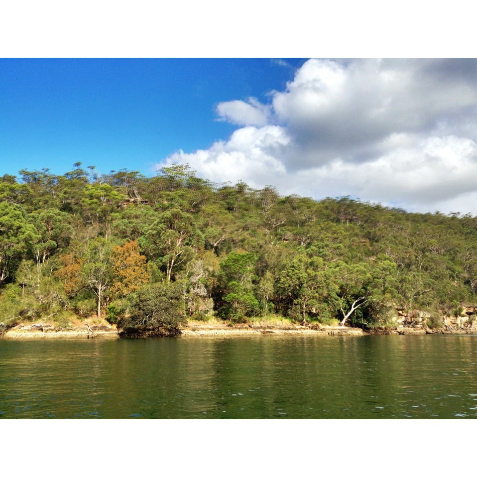 Pinta Bay