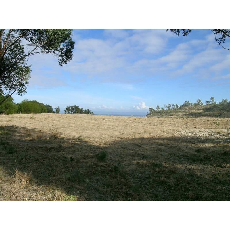Finger Board Ridge