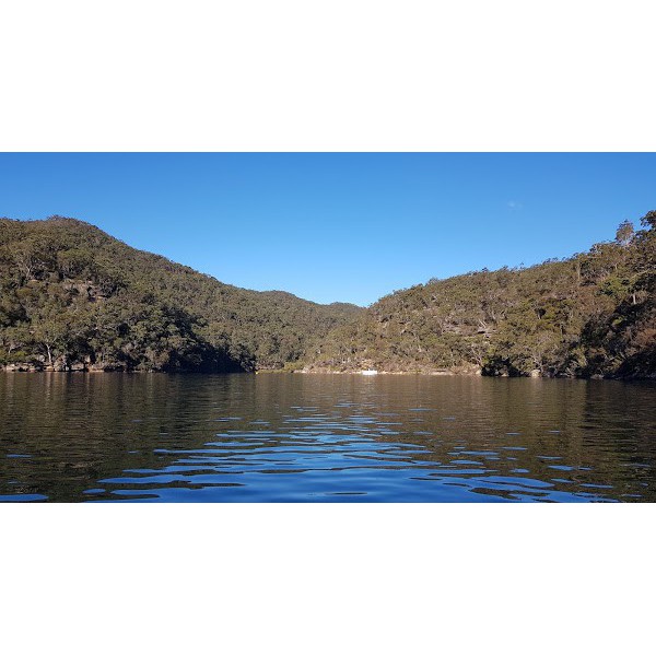 Cotton Tree Bay